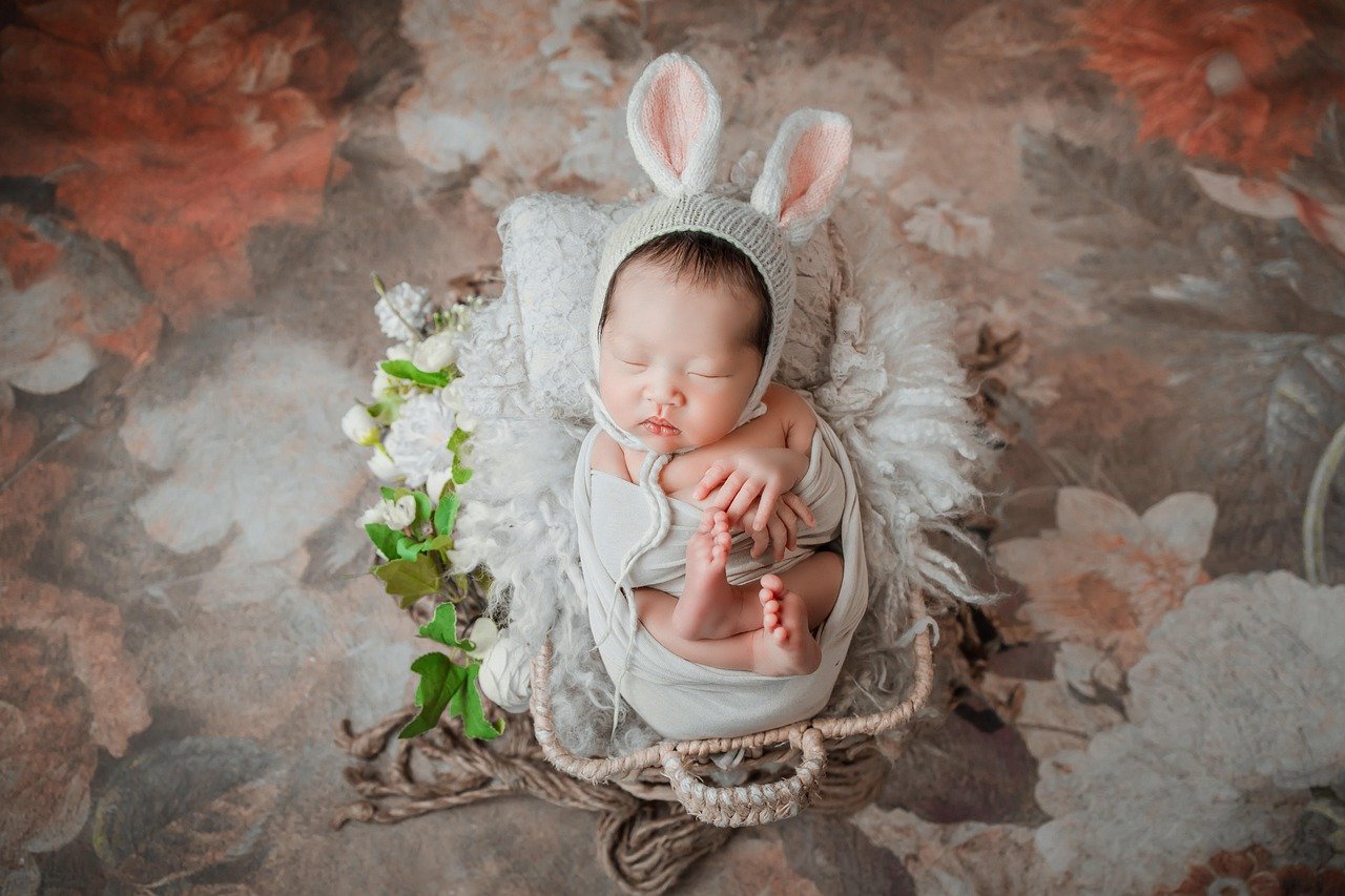 Studio vs. Outdoor Photoshoot: Which One Is Best for Your Event?